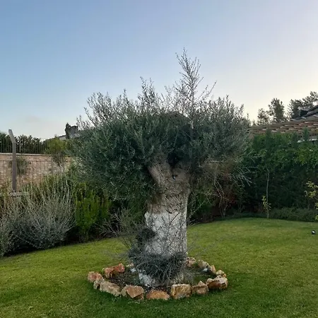 Golf And Country Club Regnum Villa Bodrum
